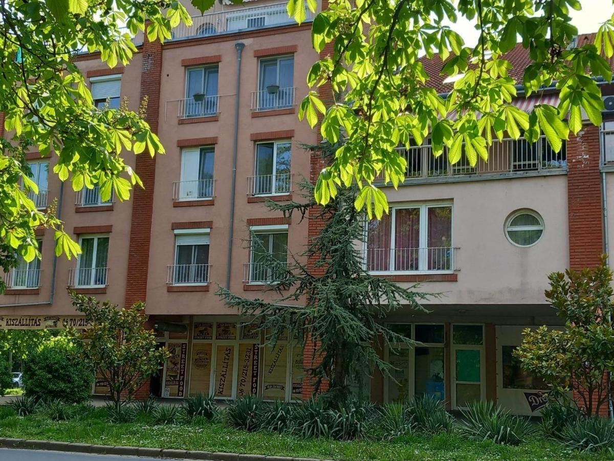 Rozsa Apartman كيستاي المظهر الخارجي الصورة